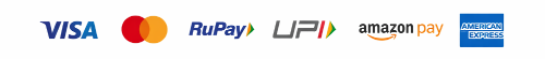 Logos of accepted payment methods including Visa, Mastercard, RuPay, UPI, Amazon Pay, and American Express on a white background.